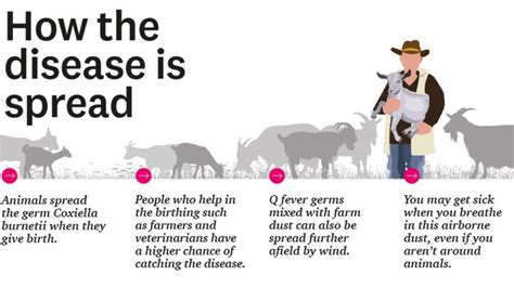  Quantitative Parasites: Q-Fever's Silent Spread Among Livestock